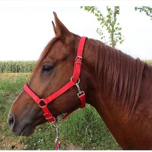 RED PROTECTION S (ONE METRE OF HORSE)
